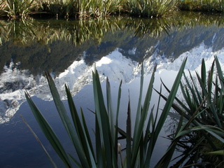 Reflective Lake, Milford Sound