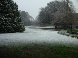 Botanical Gardens, Christchurch